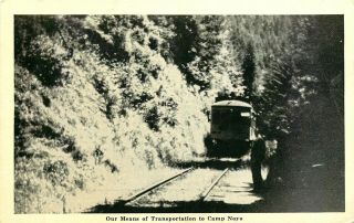 Train At Camp Noyo,  Mendocino,  California,  Boy Scouts,  Vintage Postcard