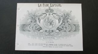 Vintage La Flor Especial Inner Cigar Label Salesman Sample