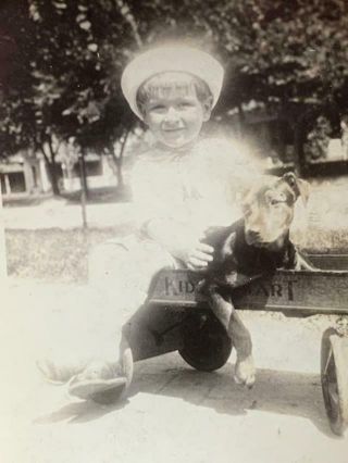 Vintage Antique Snapshot Photo Little Boy In Wagon With Puppy Dog Pit Bull