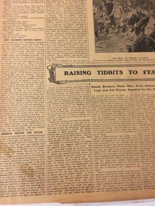 American Jews Give Thanks For Being Here Nov 26,  1905 Vintage Ephemera Newspaper 2