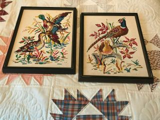 Vintage Handmade Cross Stitch Set Of Two Bird Pictures In Wooden Frames