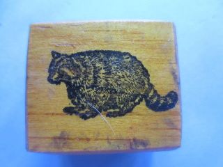 Psx Rubber Stamp Wild Animal Racoon Vintage