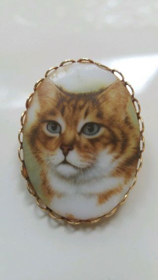 Vintage Orange Tabby Kitty Cat Cameo Brooch