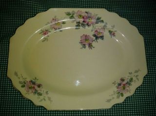 Vtg W S Geoge Lido Canarytone 12 " Oval Serving Platter Pink Gray Floral Platinum