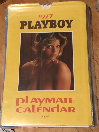 1977 Vintage Playboy Playmate Wall Calendar In Sleeve