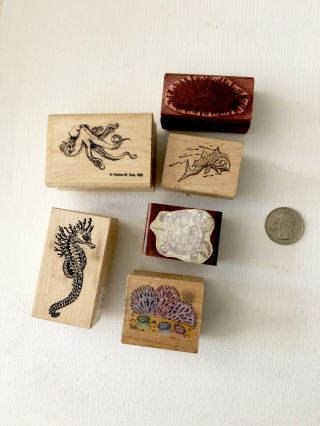 6 Vintage Rubber Stamps : Sea Creatures: Octopus,  Antique Fish,  Corals,  Seahorse