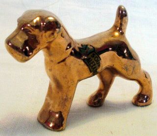 Vintage Souvenir Art Pottery Airedale Terrier Figurine Gold 1.  75 " Alexandria Va