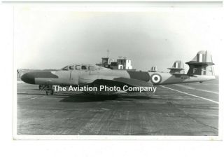 Raf Gloster Meteor Ws615 Vintage Photograph