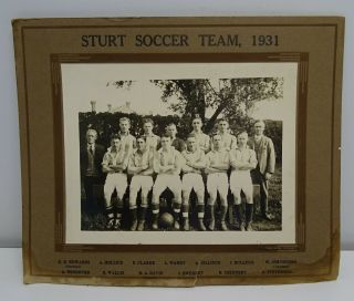 Vintage Sturt Soccer Team 1931 Photograph