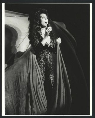 1990 Cher Vintage Photo Goddess Of Pop Auto - Tune