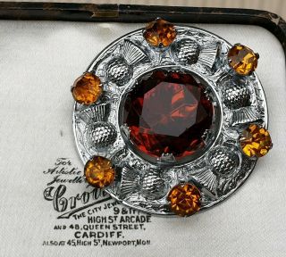 VINTAGE JEWELLERY SCOTTISH CELTIC AMBER THISTLE SILVER BROOCH PIN 2