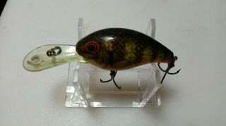 Rebel Bait Co,  Double Deep Wee R,  Yellow Perch Pattern,  Exc Cond,  C80 