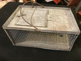 Vintage Primitive Small Rodent Galvanized Steel Cage (4 " By 6 " By 9 ")