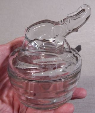 Antique Vintage Jeanette Glass Clear Elephant Candy Powder Jar & Cover