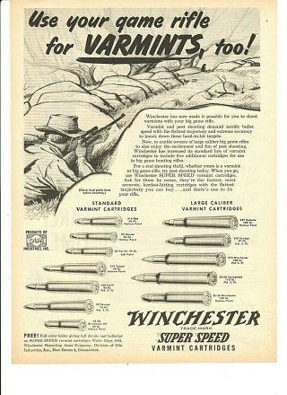 Vintage 1952 Winchester " Speed " Varmint Cartridges Print Ad