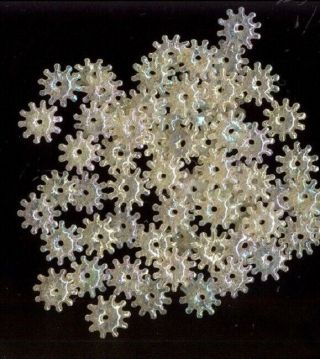 Vintage Celluloid Sequins Hollow Puffy Stars Wheels Iridescent Ivory Paillettes