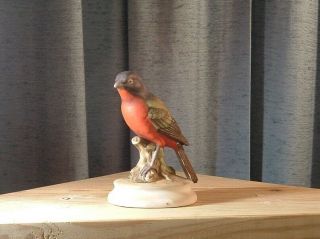 Vintage Lefton Painted Bunting Bird Figurine Kw 1184 Hand Painted