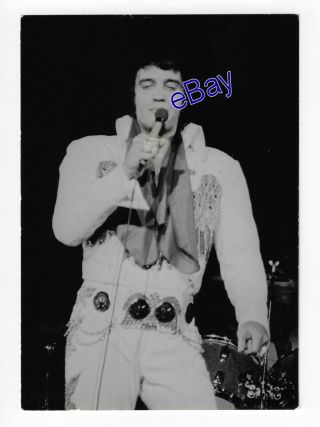 Elvis Presley Concert Photo - American Eagle 1974 - Jim Curtin Vintage