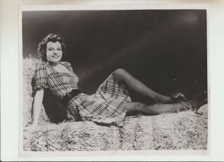 Vintage 8 X 10 B & W Pinup Photograph Actress Betty Field.