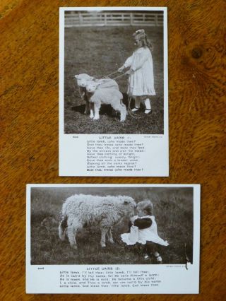 Little Lamb - 2 Vintage Postcards,  C.  1906,  Rotary Photographic Series