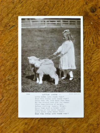 Little Lamb - 2 vintage postcards,  c.  1906,  Rotary Photographic Series 2