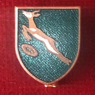 Vintage South Africa Rugby Union Hard Enamel Metal Badge