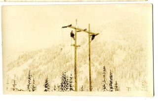 Old Vintage B/w Photo On High Utility Poles In Mountains Insulators