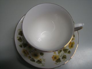 Vintage Queen Anne Tea Cup and Saucer with Yellow Flowers Bone China England 2