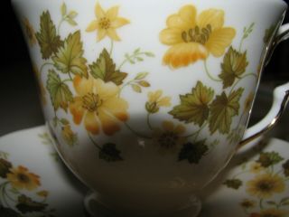 Vintage Queen Anne Tea Cup and Saucer with Yellow Flowers Bone China England 3