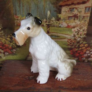 Vtg 50s Miniature Irish Terrier Porcelain Bone China Dog Figurine Doll Animal