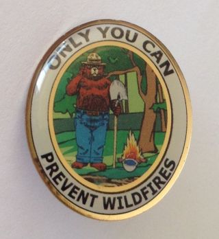 Only You Can Prevent Wildfires Us Forests Fire Pin Badge Vintage (n6)