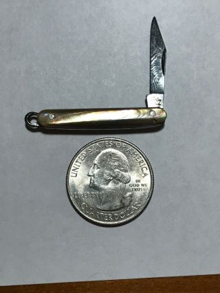 Small Vintage SALM Abalone Pearl Pocket Knife W/Bail Fob Keychain 2 1/2 