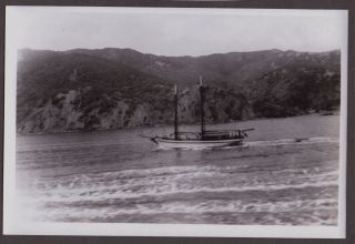 Vintage 1949 Catalina Island California Catalina Sail Boat Harbor Old Photo