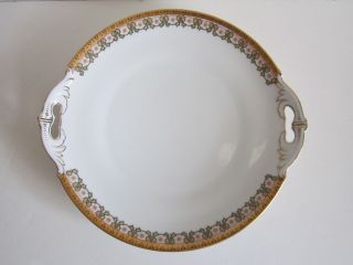 Vintage 10 1/2 " Serving Plate With Handles—trimmed In Gold - - Marked M.  Z.  Austria