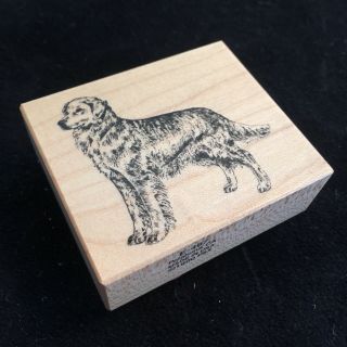 (d) Rubber Stamp Vintage Psx E - 497 Dog Golden Retriever Collecting Dogs 1990