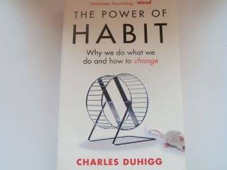 A Vintage Book " The Power Of Habit " By Charles Duhig