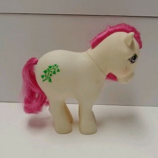 Vintage G1 Hasbro My Little Pony May Lily Of The Valley Birthflower Mail Order