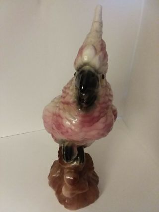 Vintage Ceramic Pink Cockatoo W/Black and Brn Maddux of California 4