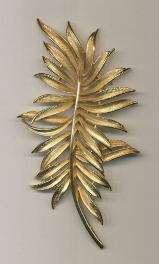 Vintage Large Trifari Gold - Tone Fern Leaf Pin Brooch - Measures 2 3/8” x 4 1/8” 2
