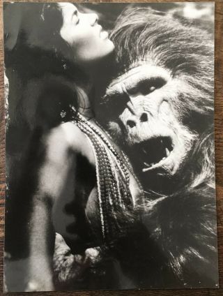 1378 Vintage Bizarre Photo Nude Girl With King Kong Gorilla From 80 