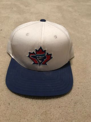 Vintage Toronto Blue Jays American Needle Snapback Hat Mlb