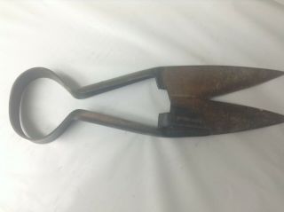 Vintage kulkoni made in germanySheep Shear Scissors 3