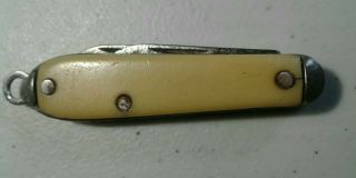 Vintage White Folding Pocket Knife Small 2 Blade