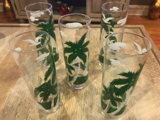 5 Vintage Libbey Glass Tropical Palm Tree Cocktail Iced Tea Tiki Tumblers
