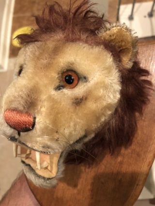 Rare Vintage 1950 ' s Steiff Leo Lion Mohair Trophy Head Mount - For Lion King fan 2