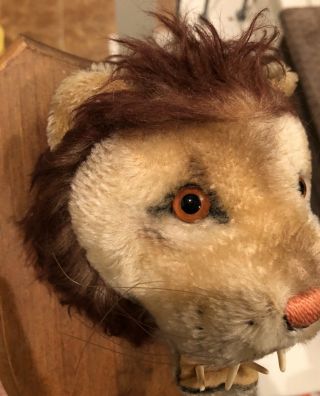 Rare Vintage 1950 ' s Steiff Leo Lion Mohair Trophy Head Mount - For Lion King fan 3