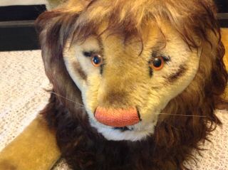 Vintage 1950 - 60s Steiff Leo Lion Large Lying Dwn Mohair Stuffed Plush Htf Animal