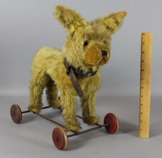 Antique Early 20thc Mohair Terrier Dog Animal Pull Toy Wooden Wheels Collar