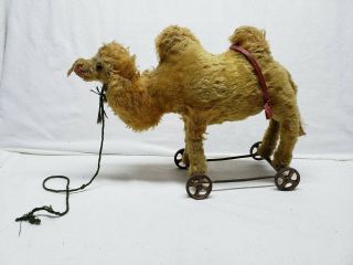 Vintage Steiff Camel On Cast Iron Wheels 1900s