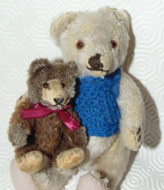 2 Small German Steiff Teddy Bear /teddy Baby And White Steiff Old Teddy